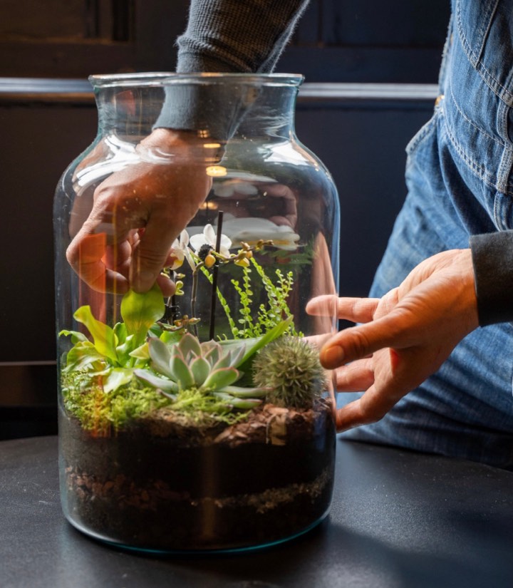 Terrarium Workshop - Image 2