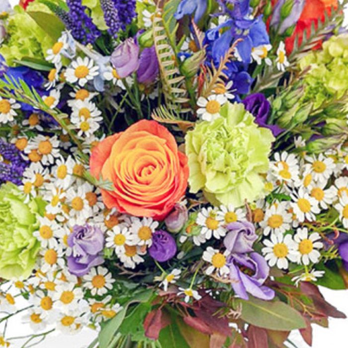 Mixed Tulips - Image 3